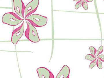 Morning glory 16-0160