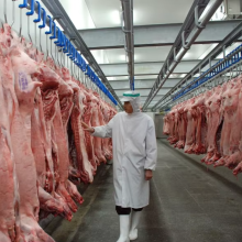 Cold Chain Logistics Warehouse: 1000m2 Vegetable Cold Room