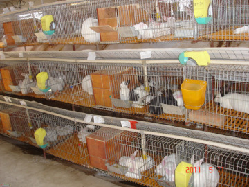 Breeding of Welded Wire Mesh