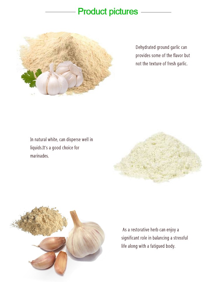 Factory garlic manufacturers garlic powder