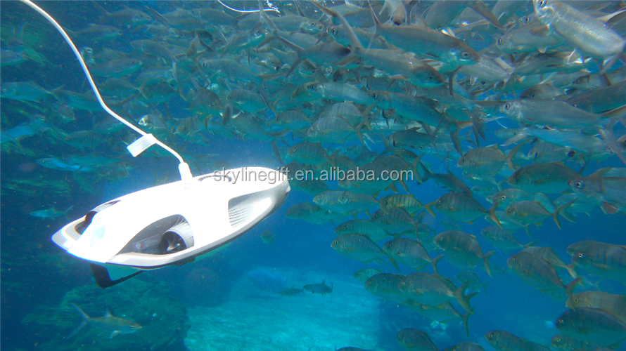 PowerRay Remote controll Bait drop fishfinding underwater drone