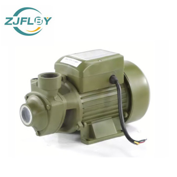 Variable frequency booster pump QB60