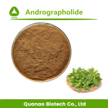 Andrographis paniculata extrait andrographolide 10% de poudre