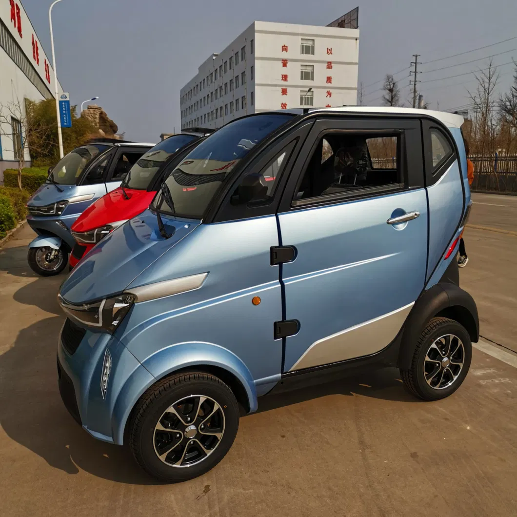 EEC L6e Euorope Standard 3000W New Electric Vehicle for Adults
