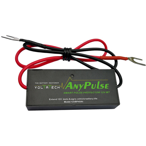 12V Starter Battery Pro