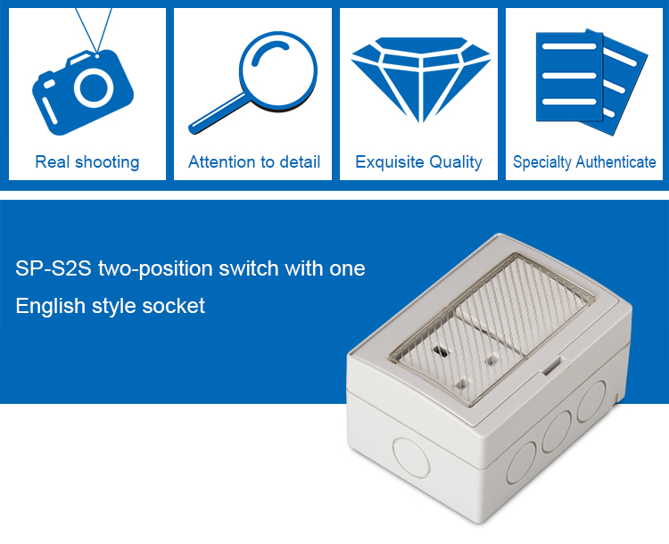 SAIPWELL/SAIP English Style Double control 250V/13A IP55 2 Positions Waterproof Switch Socket