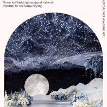 Hexagonal ironwork starry sky net wedding ceiling decoration