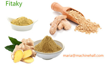 Bulk Ginger Powder Wholesale Price