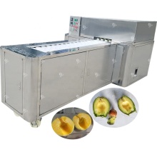 Industrial Professional Fruit Pitting and Stoning Machine