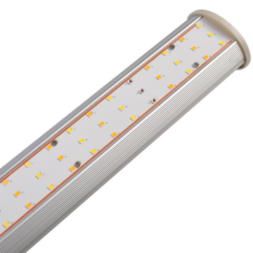 Soilse Fás 800w LED do Amazon