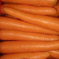 Nouvelle récolte Bonne qualité de carottes fraîches (80-150g)