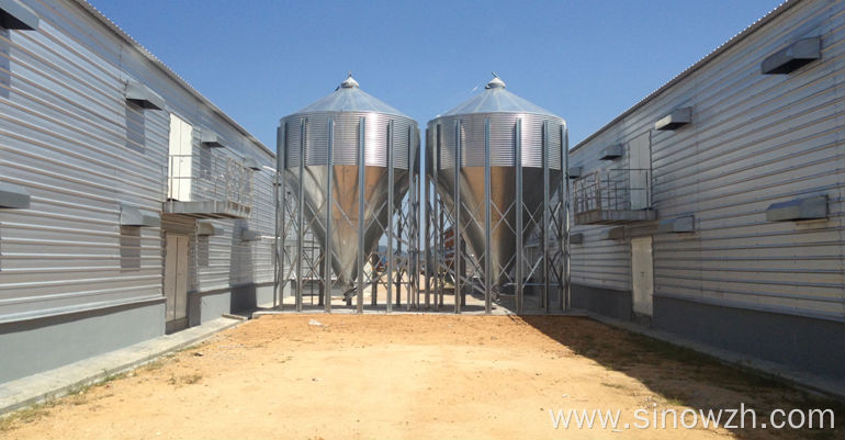Prefab poultry steel Structure Chicken Shed house