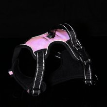 New Style Fashion Space Layer Breathable Dog Harness