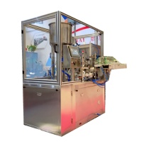 Automatic Toothpaste Tube Filling Machine