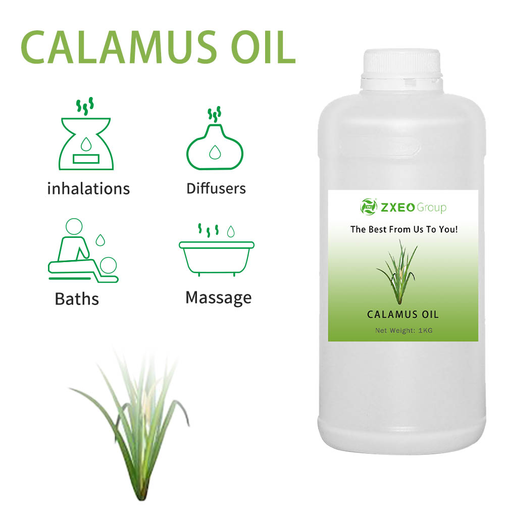 Minyak esensial calamus grosir untuk tingkat terapi diffuser aroma