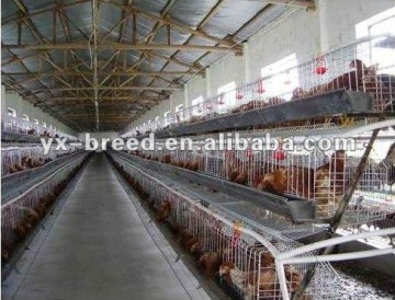 chicken egg layer cages for poultry farm