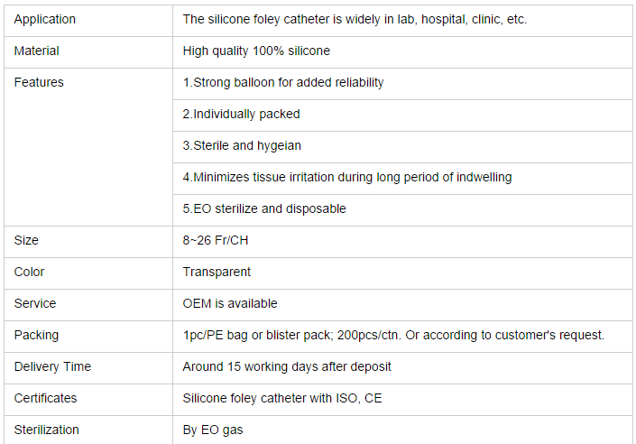 catheter foley