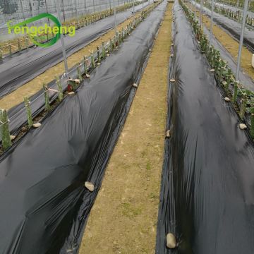 orchard ground cover weed mulch