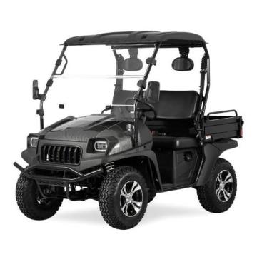 Jeep Style Electric Golf Cart mit EEC