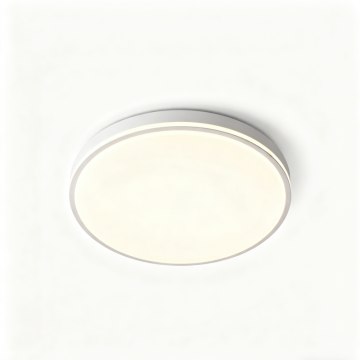 Modern Round LED Ceiling Light Fixture