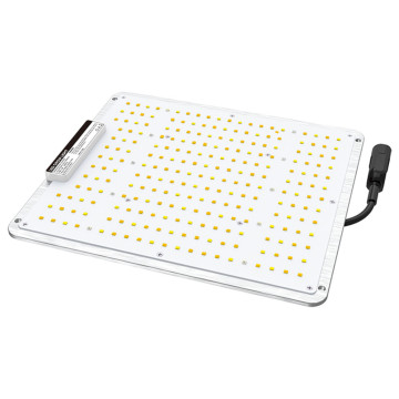 100W Ultrathin Panel Grow Light