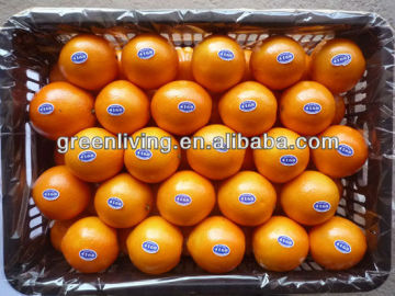 grower Navel orange