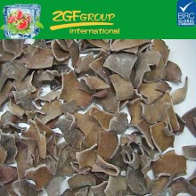 IQF frozen black fungus chunks