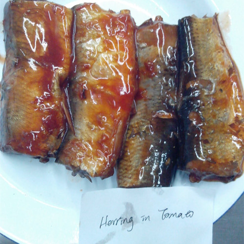 Poisson de hareng en conserve dans une sauce tomate