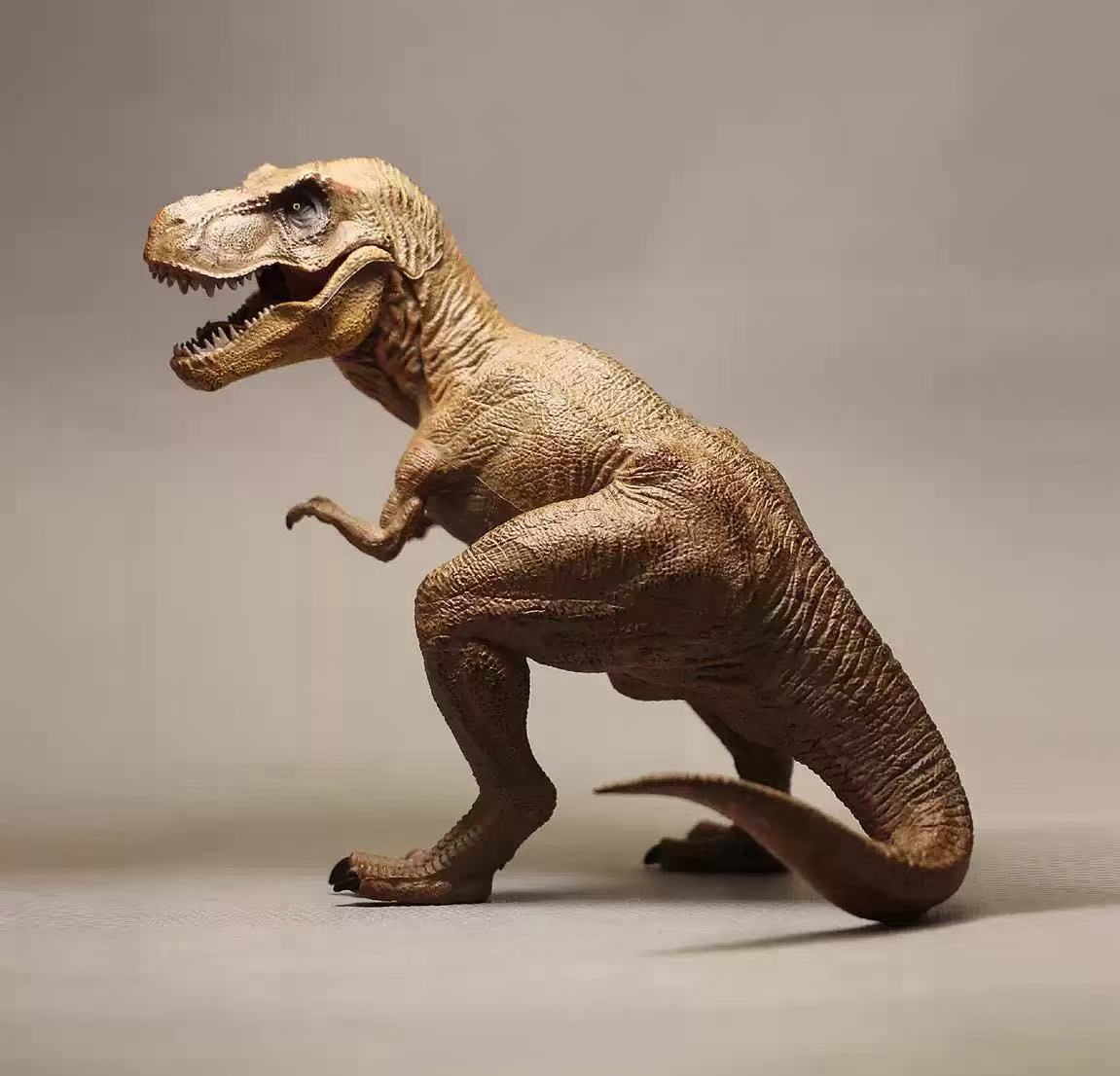 _20250304122844 _20250304122844