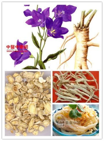 PLATYCODON GRANDIFLORUM ROOT EXTRACT