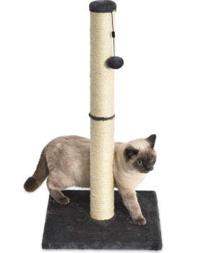 best cat scratching post