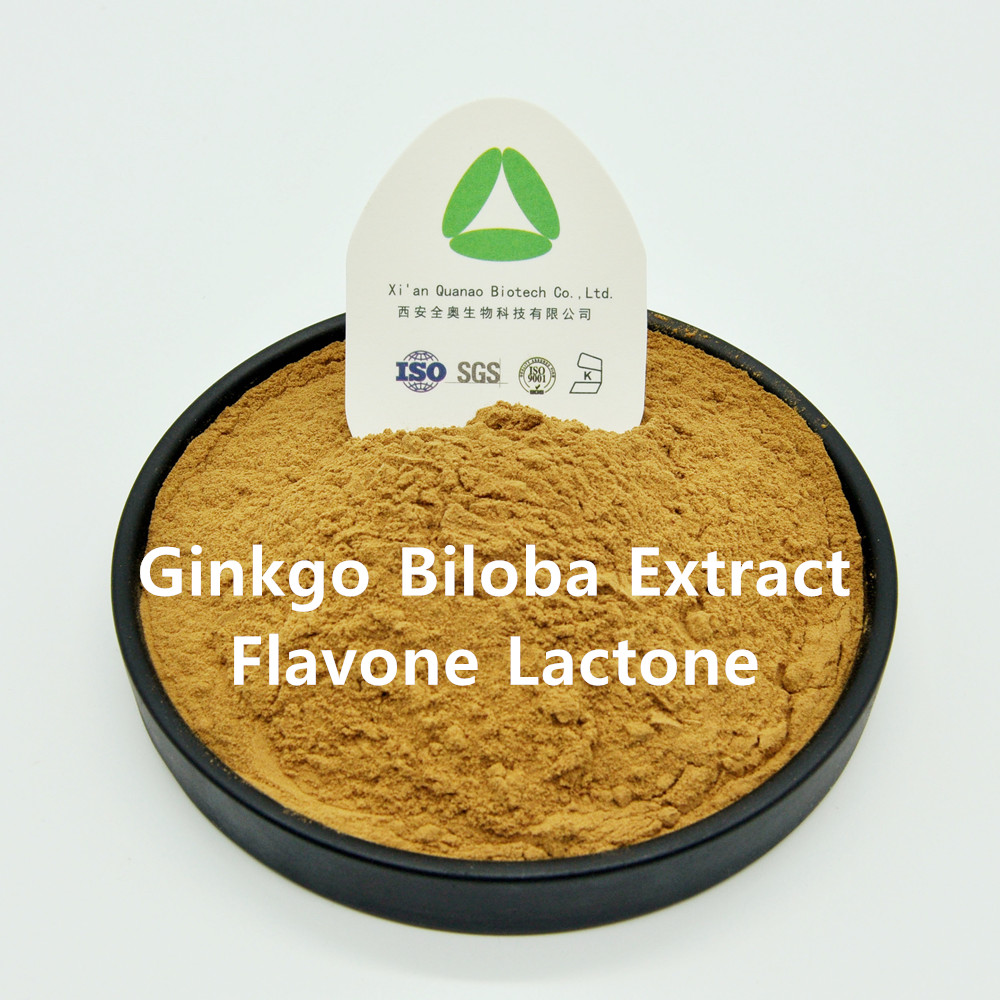 Ingredientes naturales Suplemento dietético Ginkgo Biloba Extracto