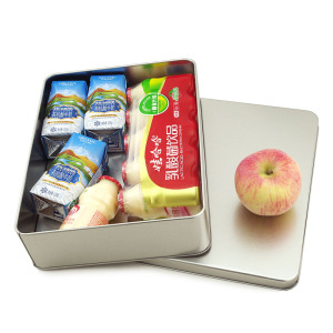 Silver Rectangle storage box