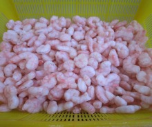 Frozen red shrimp pud