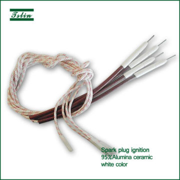 Electronic ceramic igniter