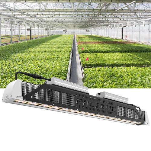 Longa vida útil do led grow light para crescimento interno