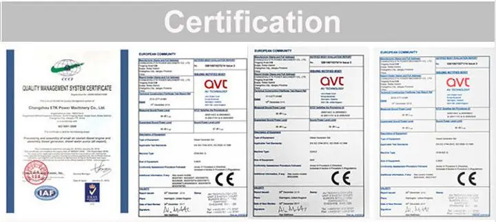 CE&ISO9001 with Diesel Water Pump (DP2C-4)