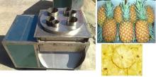 Pineapple Slicer