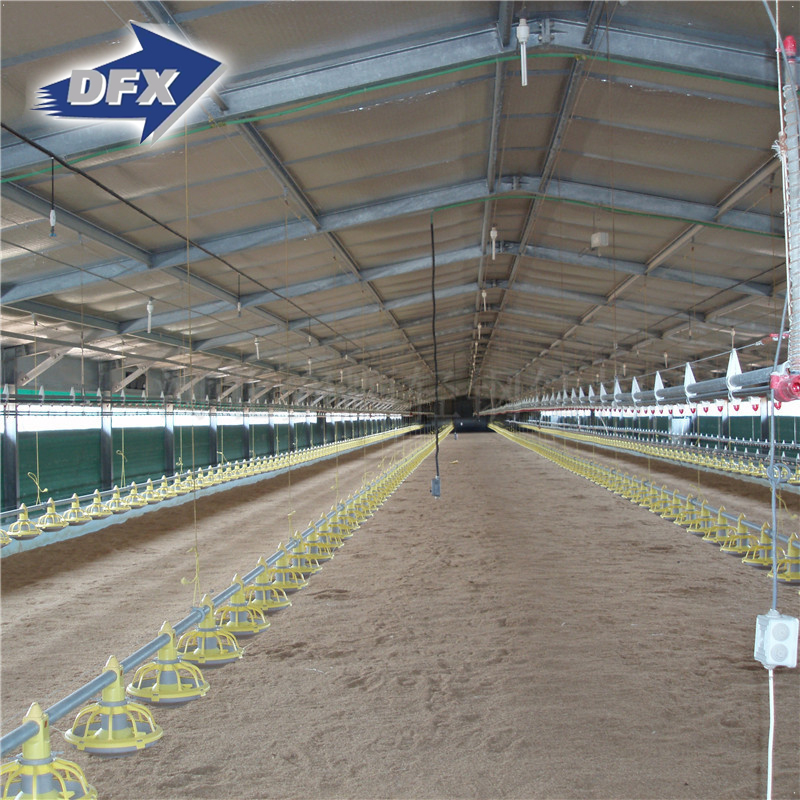 China low cost steel poultry farming chicken house shed with equipment automatic