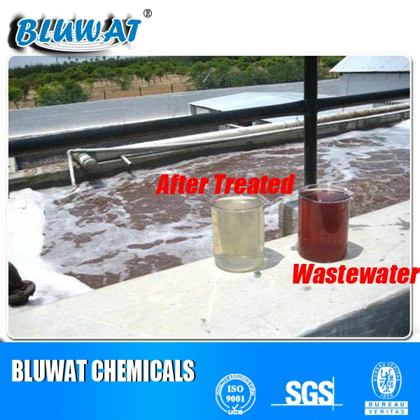 Water Treatment Polyamine Flocculant From Poly Epi-Amine