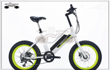 AZIENDA EBIKE ALL&#39;INGROSSO NEW KIDS BICICLETTA ELETTRICA FAT TIRE BIKE PER USO SABBIA