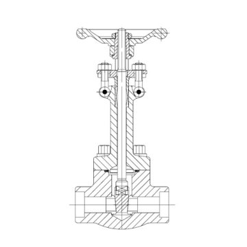 Forged Steel Gate Valve Extended Bonnet