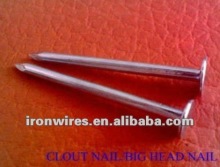 Clout Nails(factory)