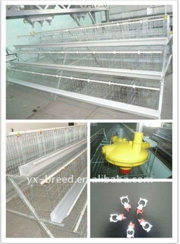 laying hen cages for sale