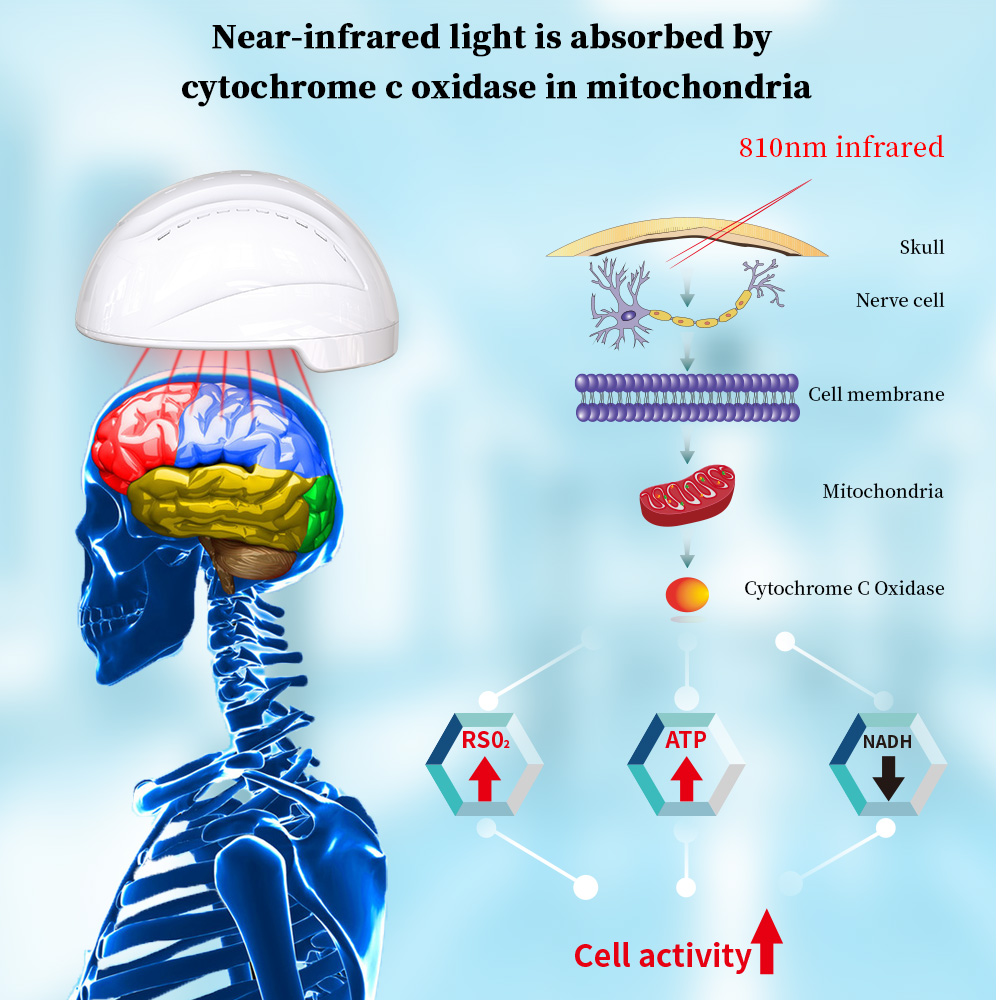 Stimolazione cerebrale macchina per il recupero del tumore al cervello suyzeko