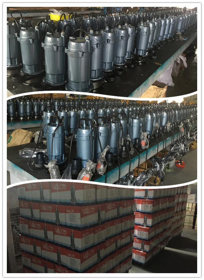 Garden Pump, Submersible Pump, Water Pump, Domestic Pumps