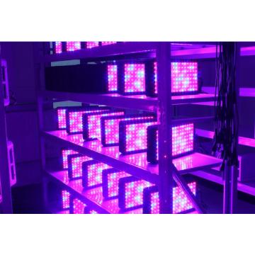 Boa qualidade LED cresce a luz para Microgreens