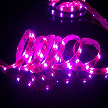 4mm3528RGB Flexible Strip