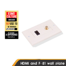HDMI Wallplate, single HDMI and F-81 decora wallplate