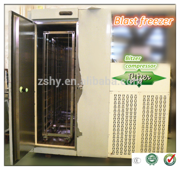 blast freezer/deep freezer/frozen